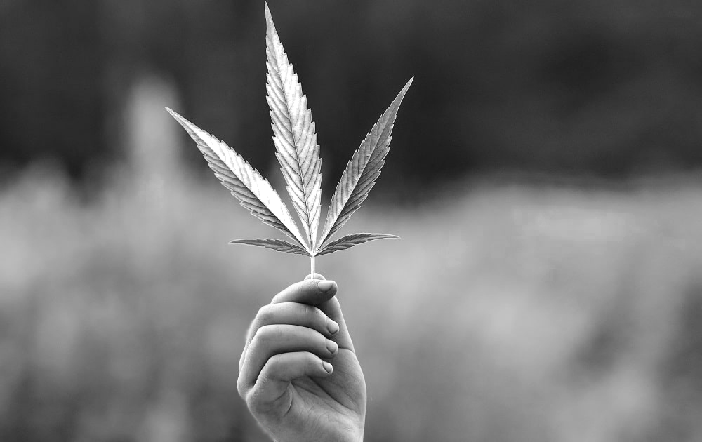 Medical-marijuana-cannabis-industry-featured-image